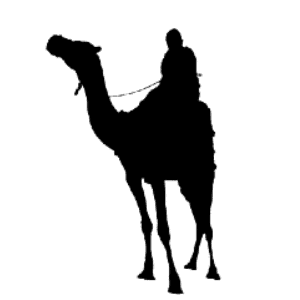 6a0568da-ff7a-41dd-9548-0e59d9decde8.png